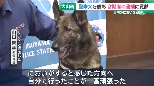 あさみめぐる tweet media