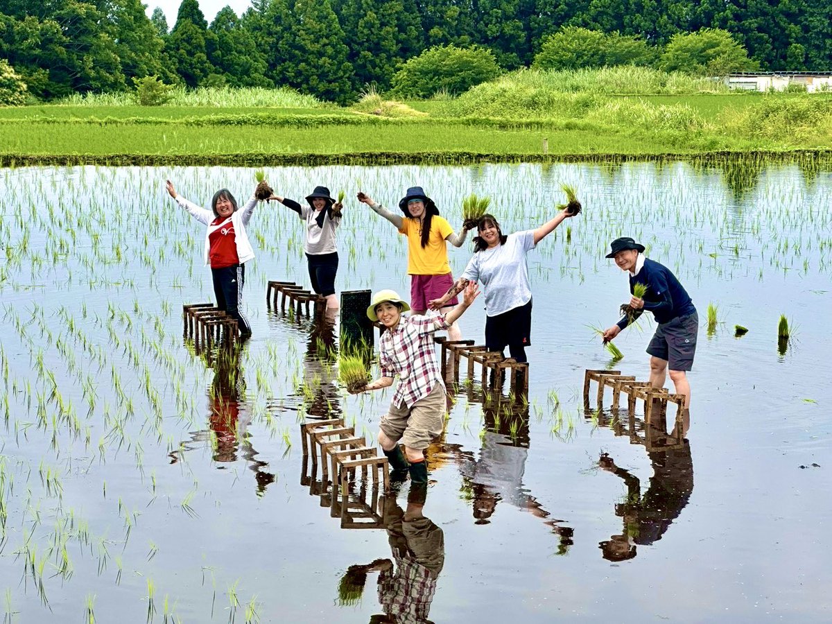 tanaka_shizuoka's tweet photo. 【命を植える】
日曜日、田植えの参加者を募集したところ、20人以上の皆さんが集まってくださり、楽しい田植え会を開くことができました。

今回の田んぼは、富士山白糸ファームさんの「田植えオーナー制度」を利用しています。
オーナーになると、オリエンテーションから始まり、食や健康に関するワークショップ、種まき会、田植え枠づくりなど、さまざまな活動を経て、今回の田植えを迎えます。
農家の後継者不足、お米をめぐる不安、自給率の低下など、農業を取り巻く課題は山積しています。
だからこそ、実際に田んぼに入り、お米づくりを体験することには大きな意味があると感じています。
一粒のお米ができるまでに、どれだけの手間と時間がかかるのか。食卓に並ぶご飯の向こう側に、どんな農家の努力があるのか。
子どもから大人まで、みんなで体験しながら、食と農の大切さを考えるきっかけになれば嬉しいです。

次は、草取り会、そしてホタル鑑賞会です。引き続き、どうぞよろしくお願いします。

#富士宮市
#富士山白糸ファーム
#農家