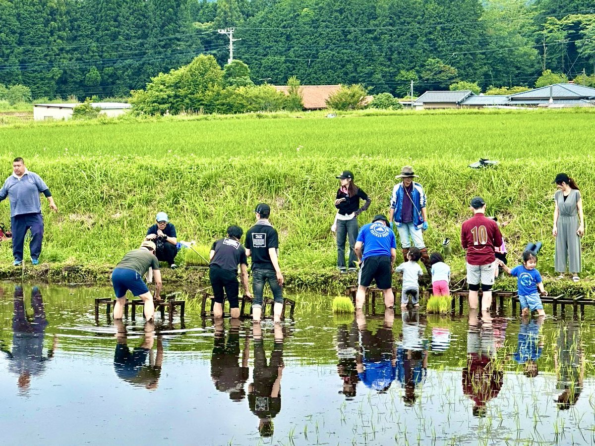 tanaka_shizuoka's tweet photo. 【命を植える】
日曜日、田植えの参加者を募集したところ、20人以上の皆さんが集まってくださり、楽しい田植え会を開くことができました。

今回の田んぼは、富士山白糸ファームさんの「田植えオーナー制度」を利用しています。
オーナーになると、オリエンテーションから始まり、食や健康に関するワークショップ、種まき会、田植え枠づくりなど、さまざまな活動を経て、今回の田植えを迎えます。
農家の後継者不足、お米をめぐる不安、自給率の低下など、農業を取り巻く課題は山積しています。
だからこそ、実際に田んぼに入り、お米づくりを体験することには大きな意味があると感じています。
一粒のお米ができるまでに、どれだけの手間と時間がかかるのか。食卓に並ぶご飯の向こう側に、どんな農家の努力があるのか。
子どもから大人まで、みんなで体験しながら、食と農の大切さを考えるきっかけになれば嬉しいです。

次は、草取り会、そしてホタル鑑賞会です。引き続き、どうぞよろしくお願いします。

#富士宮市
#富士山白糸ファーム
#農家