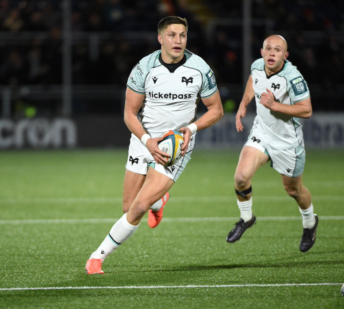 ospreys tweet picture