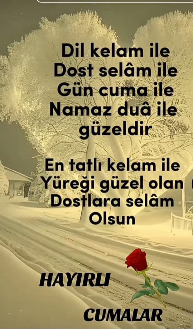 MDemir0233's tweet photo. https://t.co/04gTiYNcUY
