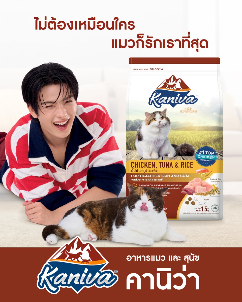 KanivaOfficial's tweet photo. • KHUNPOL •

ต่อให้น่ารักแค่ไหน… ก็สู้ความอร่อย
ของอาหารแมวคานิว่า สูตรไก่ ไม่ได้หรอก!

เพราะอร่อยคำใหญ่จากเนื้อไก่เน้น ๆ 
มีโปรตีนช่วยเติมพลังให้ฟิตเต็มร้อย 💪⚡
 ไม่เสียชื่อแมวส้มจอมป่วนแน่นอน 😼🍊

เพราะเค้าเห็นว่าคุณน่ารักไม่เหมือนใคร
เลยอยากป่วนกวนใจคุณไปนาน ๆ

#Kaniva #คานิว่า #ถูกใจคนรู้ใจแมว #คนว่าใช่หมาก็ชอบ #KANIVAxBUS #KanivaNoPetBeautyStandard
