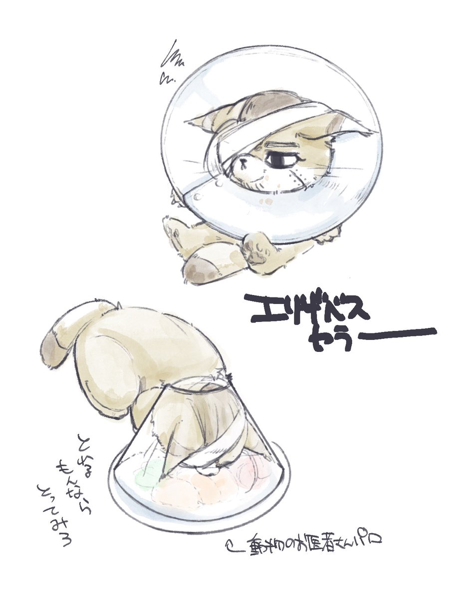 OkaratoTofu's tweet photo. らくがき🐈 https://t.co/Vgx9QJFoP5