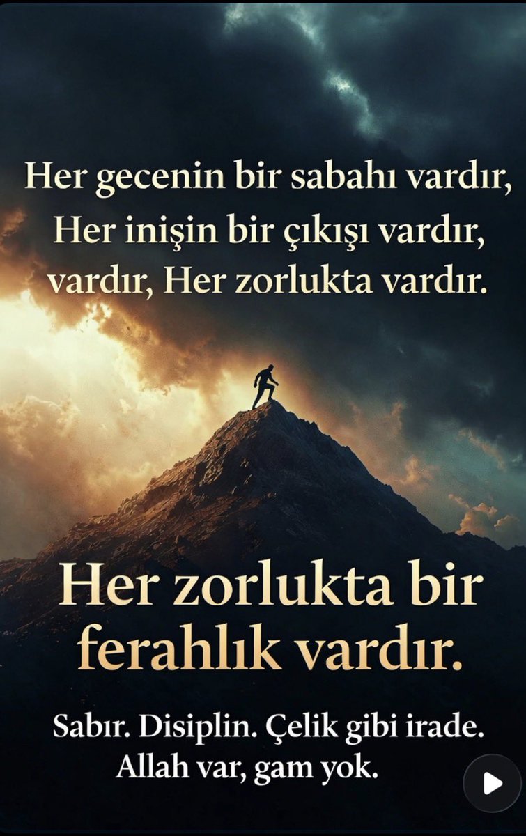 👑 Reis ₿ tweet media