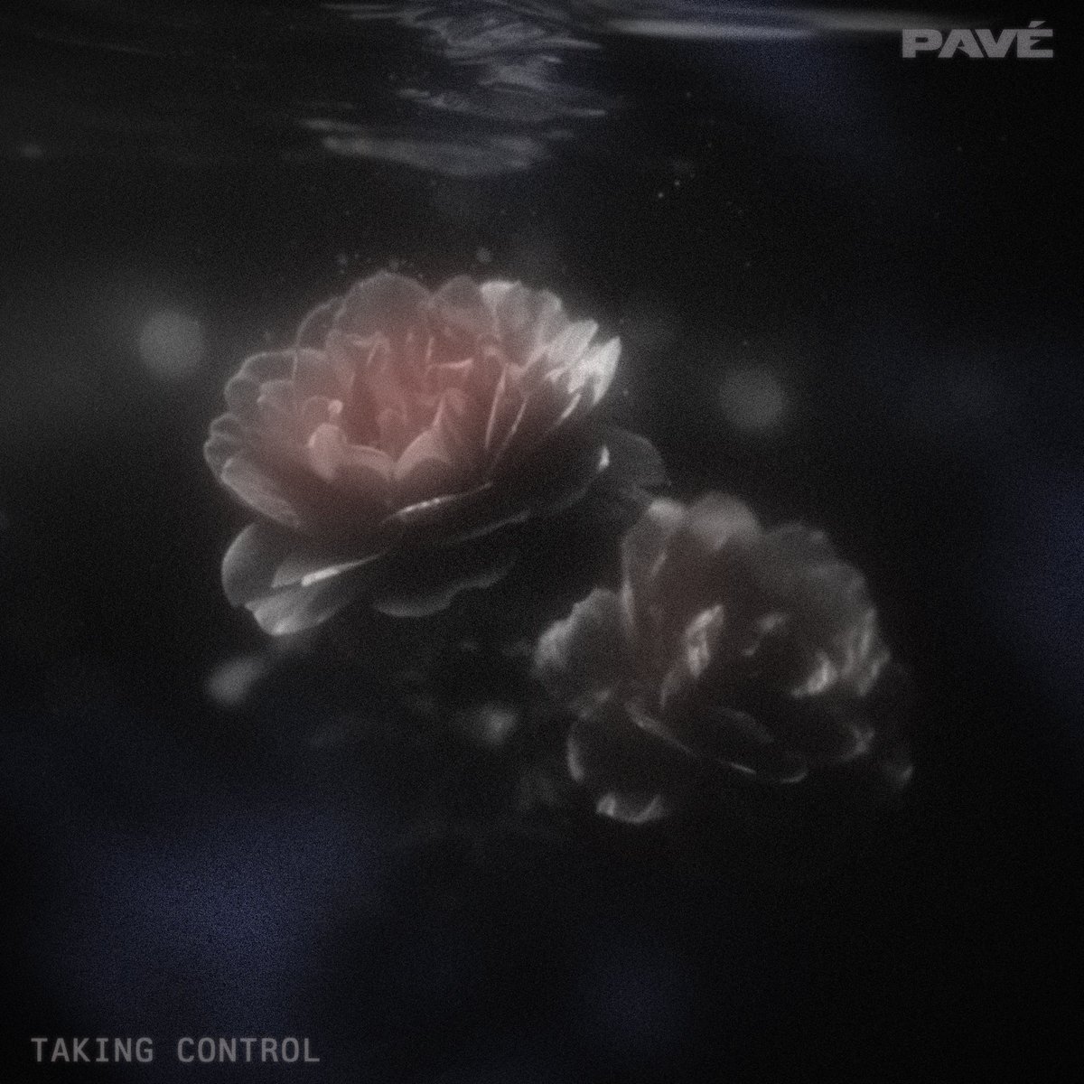 PavebandUK's tweet photo. Our new single ‘Taking Control’ is yours June 25th (next Thursday!) along with the official Music video

Pre-save now https://t.co/CV1HSTfQz3

Are we ready for the new era? 🖤 https://t.co/7Jbut5qRQ6