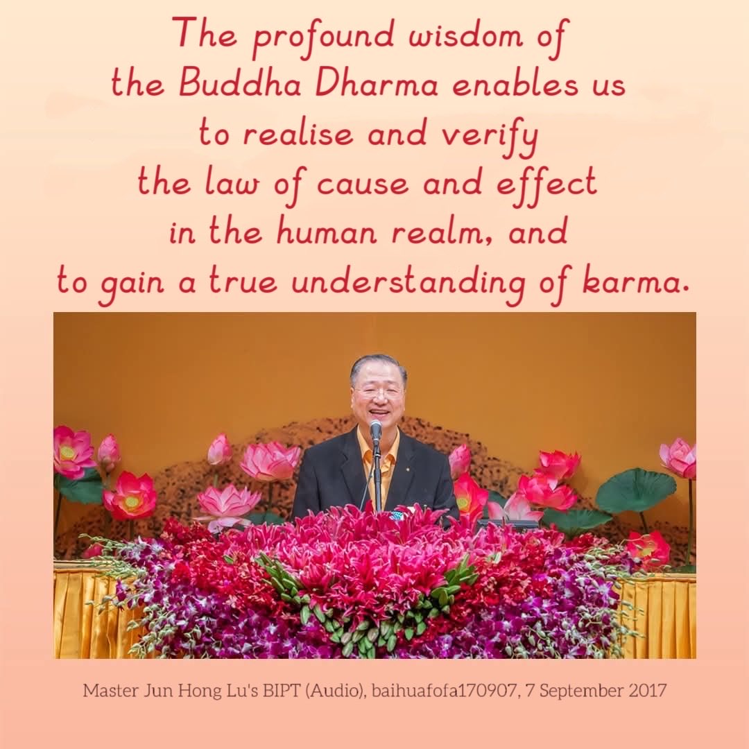 baby1mut's tweet photo. #xinlingfamen #卢军宏 #卢台长 #心灵法门 #lujunhong #junhonglu #xlfm #masterlu #guanyinxlfm #guanyincitta #buddhism #dharma #buddhistquotes #buddhismquotes #wordsofwisdom https://t.co/SLojTxih4k
