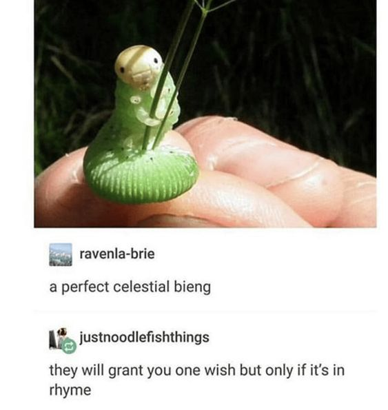 WholesomeMemes tweet media