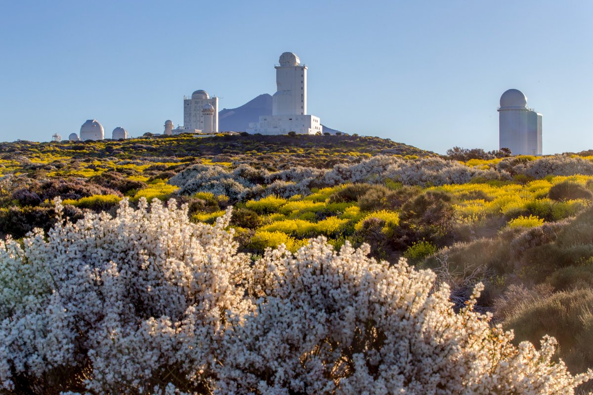 IAC_Astrofisica's tweet photo. 🔭 VENTANA AL COSMOS | IAC

☀️ Solsticio de verano: el hemisferio norte recibe hoy la máxima cantidad de luz solar del año.

🌍 Las estaciones no dependen de la distancia al Sol, sino de la inclinación de la Tierra.

© Daniel López / IAC

#IAC #Astrofísica #Solsticio #Cosmos https://t.co/nt5pDh3OFm