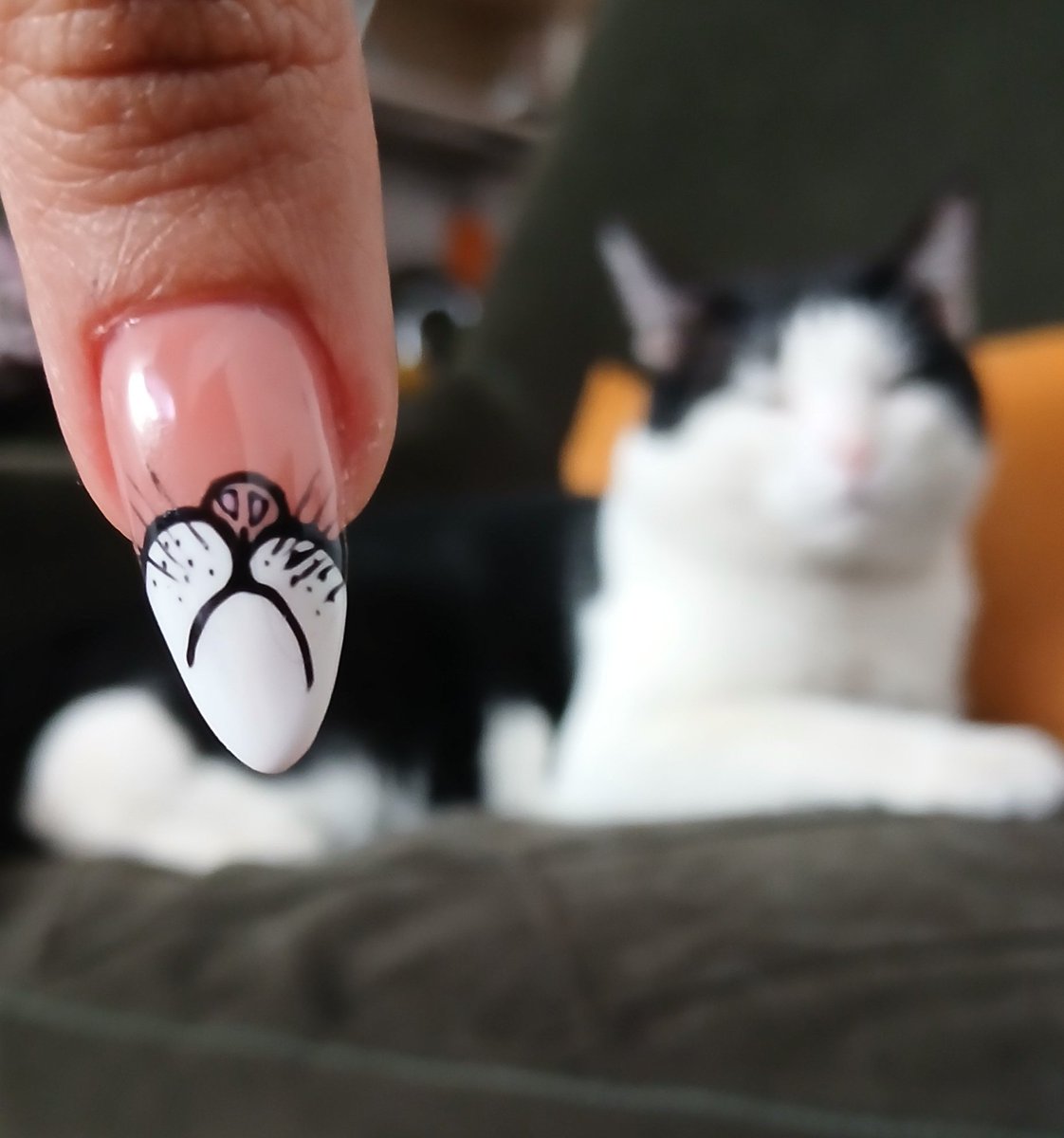 petite chatte noire tweet media