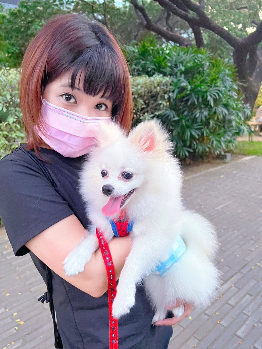 thelostchibi's tweet photo. Today’s dog walk was better than last time. Hope Sho will continue to become more confident and less aggressive. 😭🥲 https://t.co/bwrNch6LkM