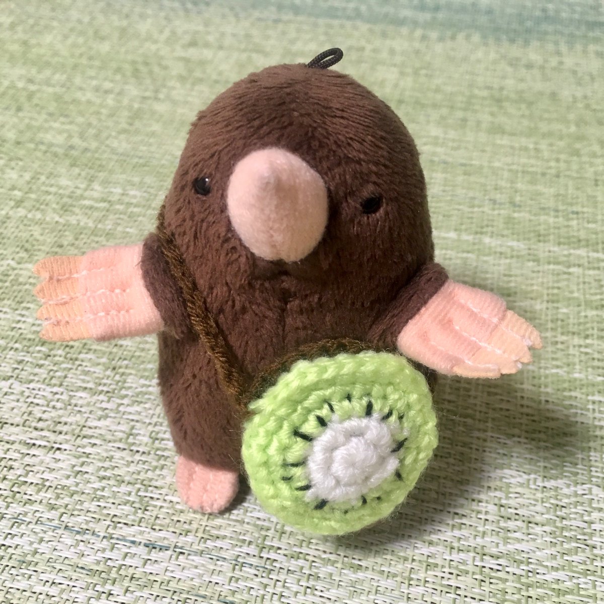 MGR1647551's tweet photo. モグミ用に🥝バッグを編んでみましたよ☺️

お花摘んだりお出掛け荷物を入れられるね🥔💐 https://t.co/4DjmV4dUBo
