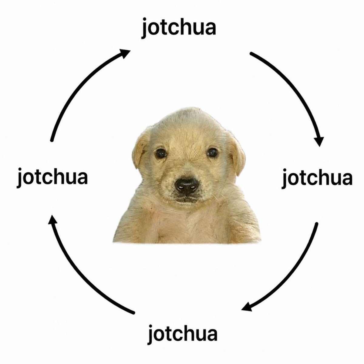 Jaspeeroo's tweet photo. Don’t send $jotchua without me 

Dump on me let me dca more 

I haven’t had enough 😭 https://t.co/kuRKNUzHrc
