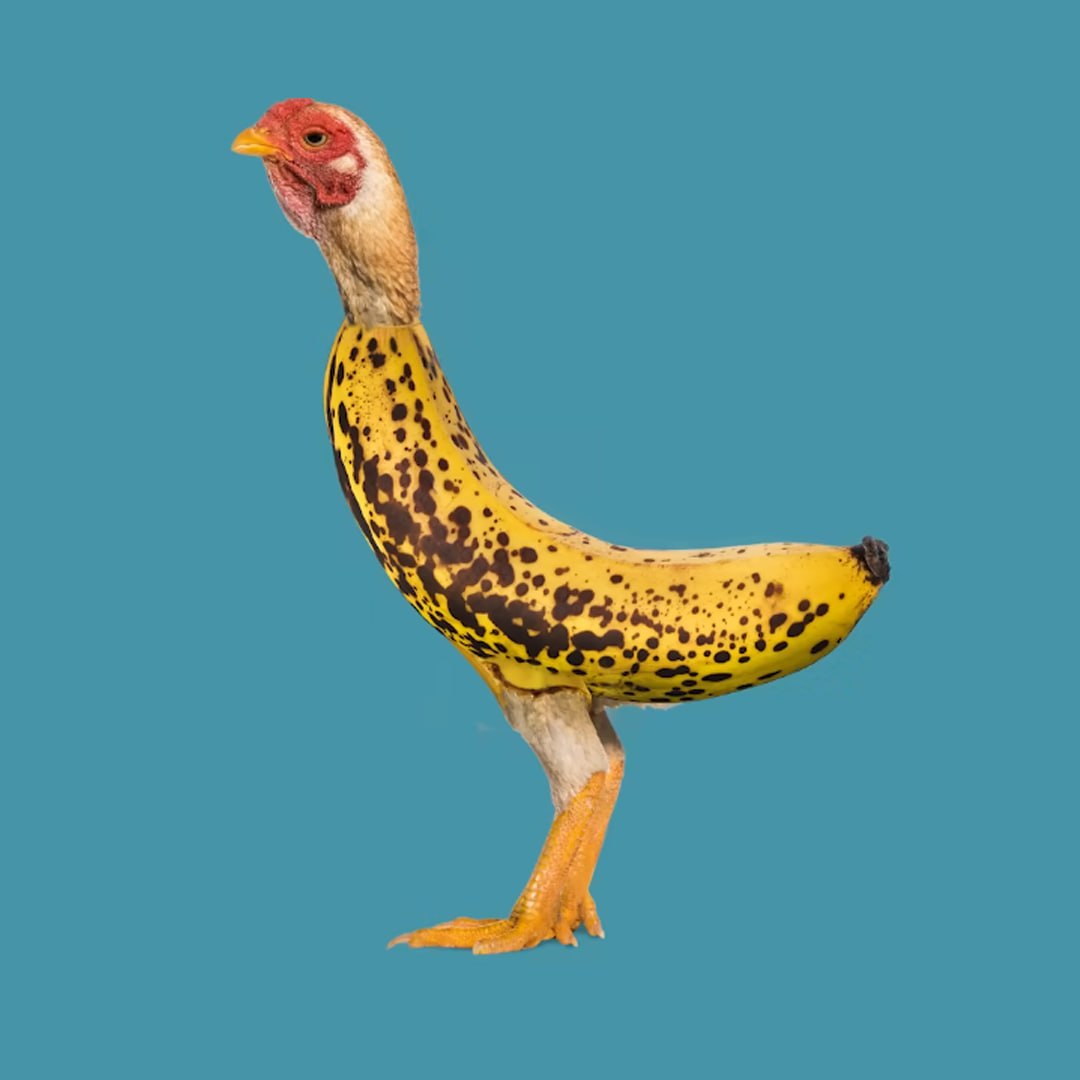 fadesafeplays's tweet photo. @gudmansachs good old days. we need this kind of meme. creative or funny. like chicken banana. simple but funny lol

9bqwVvcosiLBZ67oRzPxvWsitEAeY6V2FuiaWyH6pump https://t.co/70qqQUgstf