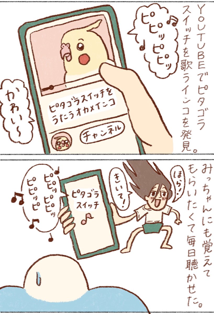 tanikonatsu_2's tweet photo. そっちじゃない！

#インコ https://t.co/q7Ivmdaocw