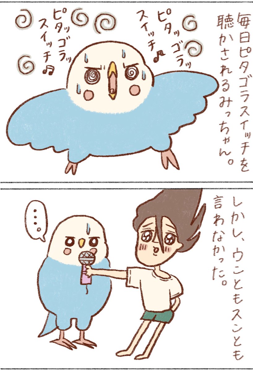 tanikonatsu_2's tweet photo. そっちじゃない！

#インコ https://t.co/q7Ivmdaocw
