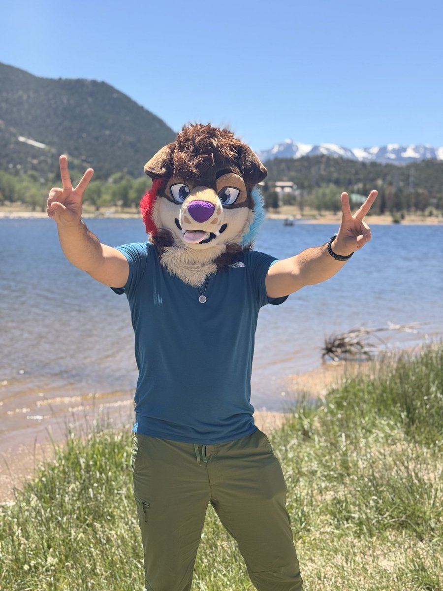 alakaithecollie's tweet photo. MOUNTAINS!!! 

Happy #fursuitfriday https://t.co/pAAYdSHBet