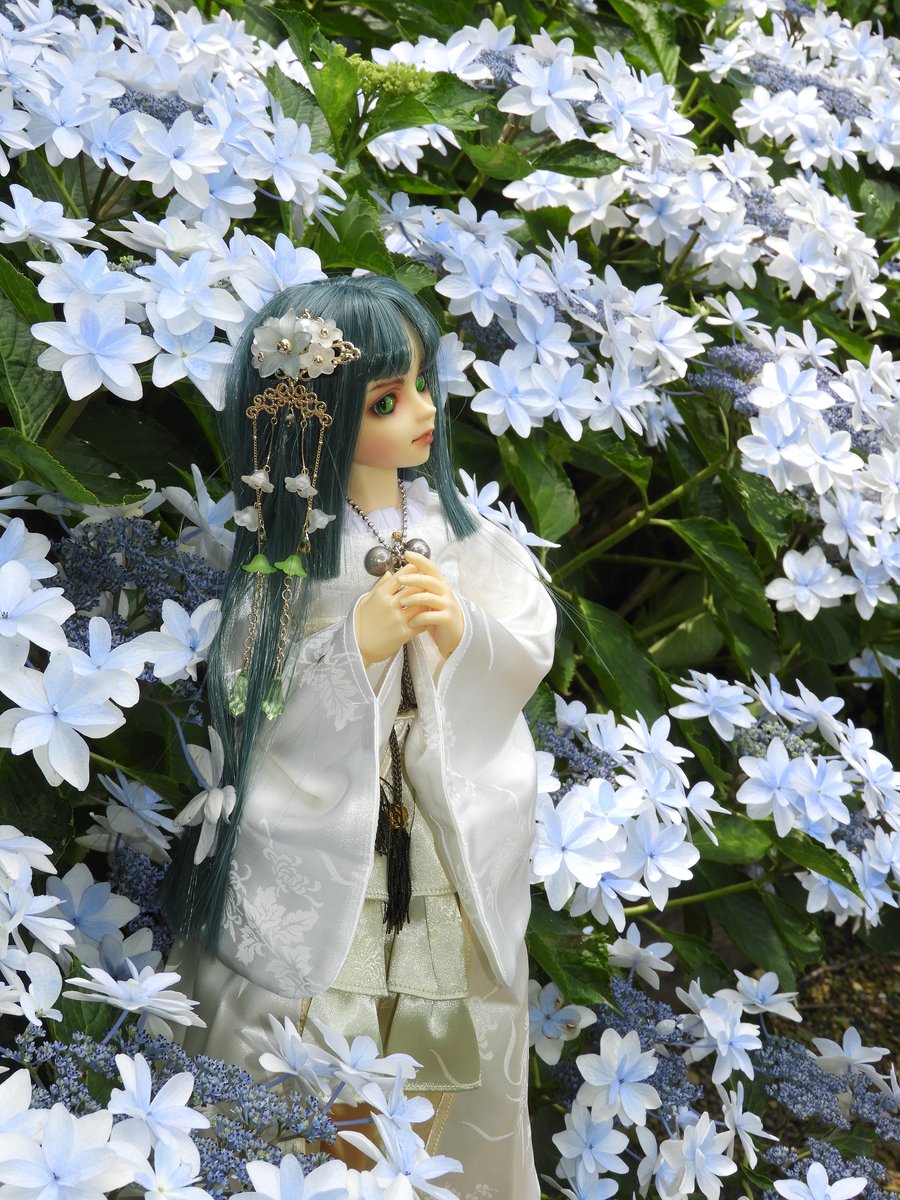 uhouho2009's tweet photo. #おやすみなさいの前にドールの写真を1枚貼ろう

本日撮りから1枚 https://t.co/OMj78ee50n