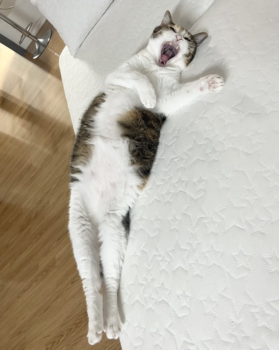 2pepperdiary tweet picture
