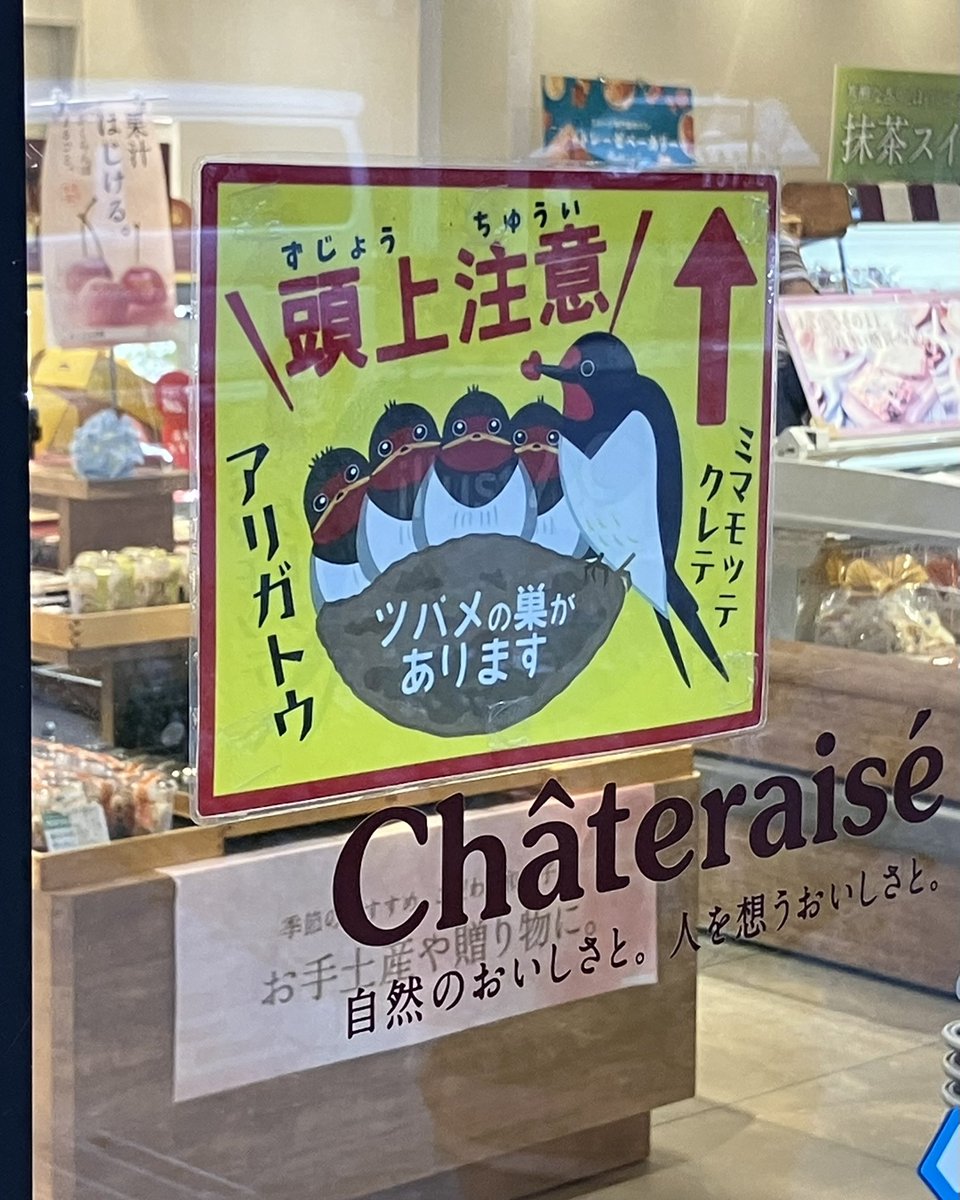 coririn007's tweet photo. シャトレーゼの頭上注意かわいい☺️ https://t.co/RCspBfMa4B