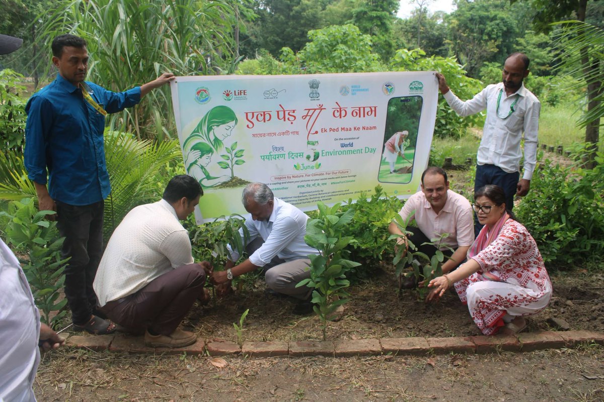 EnvisBsi's tweet photo. Central National Herbarium, Central Botanical Laboratory and BSI-EIACP PC-RP Howrah organized the “Ek Ped Maa Ke Naam�� campaign to celebrate ‘World Environment Day 2026’ on 05.06.2026. https://t.co/iggVkipV1Y