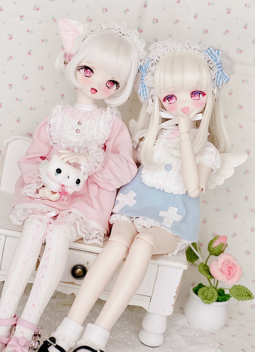 まと🐱 (@matonico25) / Posts / X