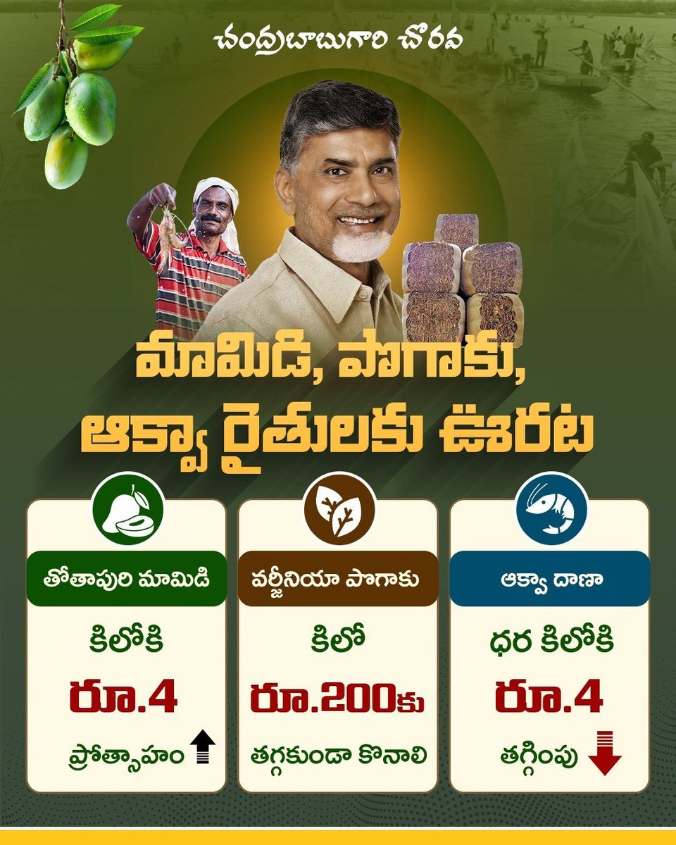 MamidiGROffl's tweet photo. ధర లేక నష్టపోతున్న తోతాపురి మామిడి రైతులకు అన్యాయం జరగకూడదన్న ఉద్దేశంతో ఈ ఏడాది కూడా కిలోకు రూ.4 చొప్పున ప్రోత్సాహం అందించాలని సీఎం చంద్రబాబు గారు నిర్ణయించారు. అలాగే వర్జీనియా పొగాకు కిలో రూ.200కు తగ్గకుండా కొనాలని ఆదేశించారు. ఇకపోతే తయారీదారులతో మాట్లాడి రొయ్యల మేతపై కిలోకు రూ.4 తగ్గించిన విషయం తెలిసిందే. 

#IdhiManchiPrabhutvam
#ChandrababuNaidu
#AndhraPradesh