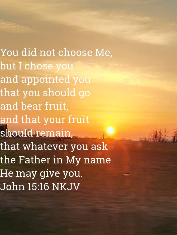 Sarah47336's tweet photo. John 15:16 NKJV
[16] You did not choose Me, but I chose you and appointed you that you should go and bear fruit, and that your fruit should remain, that whatever you ask the Father in My name He may give you. 

https://t.co/nVZaMJdXfk https://t.co/2SDIW8uTCa