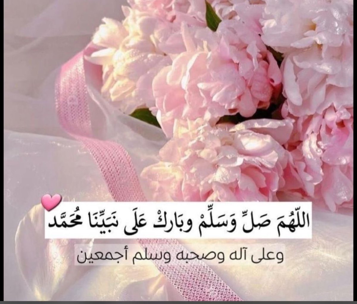 _am_hasan's tweet photo. @alsayg https://t.co/pIvUGdHAgX