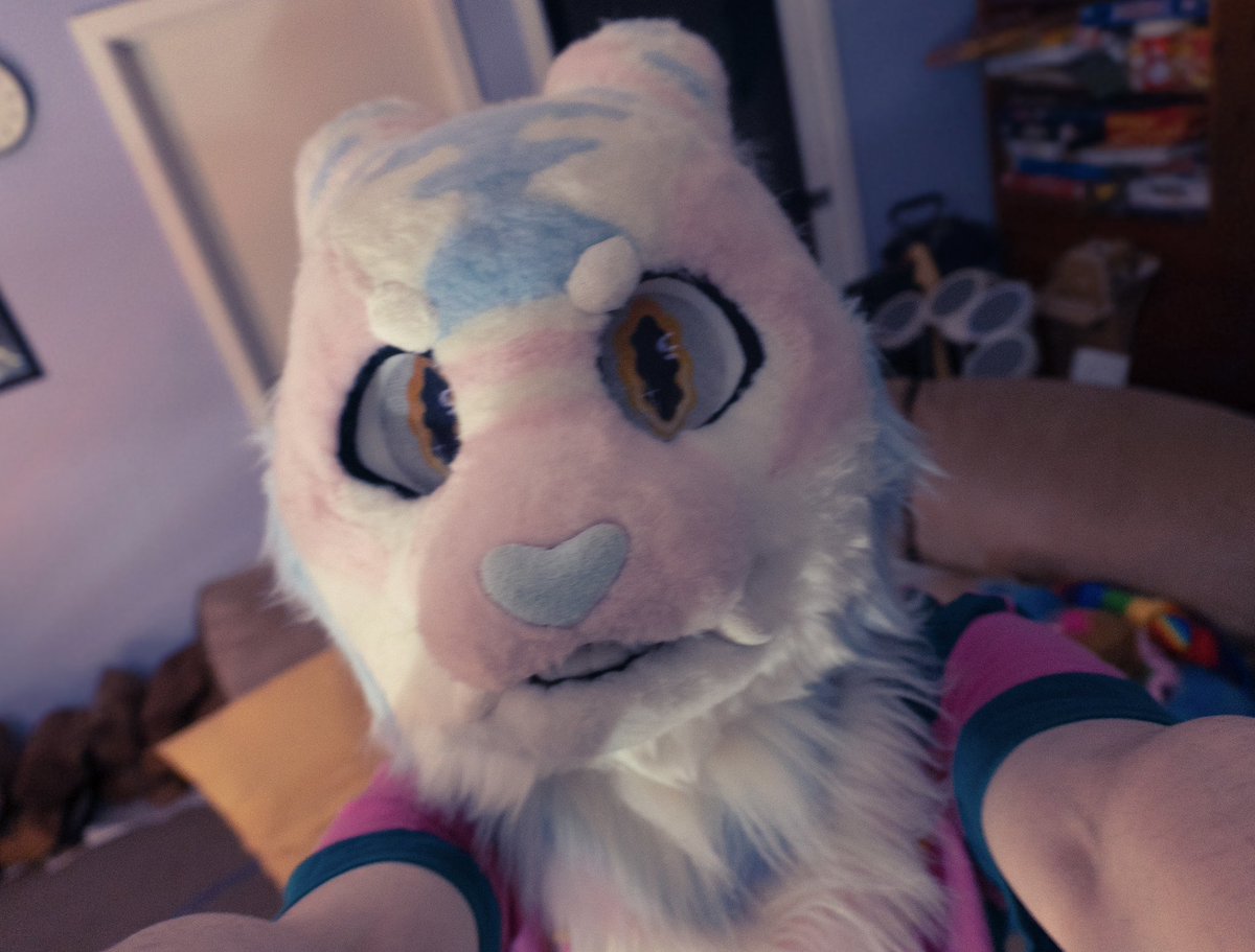 PalkiWolf's tweet photo. Happy #FursuitFriday from the silly kitty ✨🐱 https://t.co/inOggRITTo