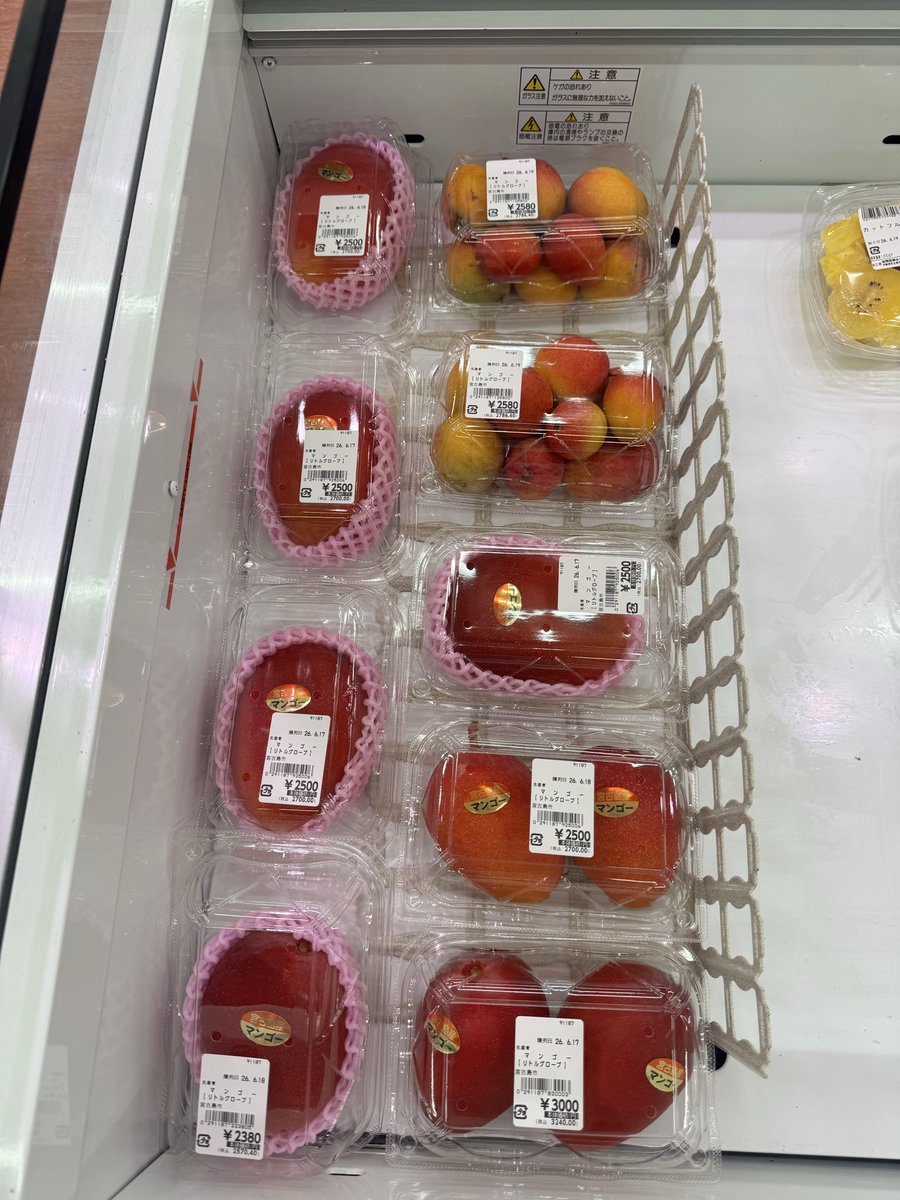 patakepatata's tweet photo. お買い物~
マンゴー高っ🥭🥭🥭 https://t.co/cLFs1MMUgT