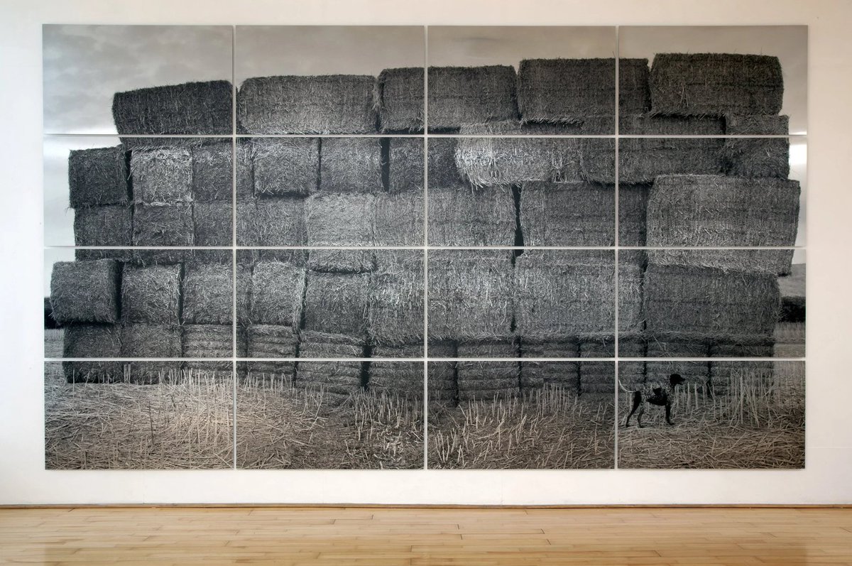 OxoDog51N14W's tweet photo. Helen Sear RA.

Blocked Field (2013) - Collection of Amgueddfa Cymru / National Museum Wales https://t.co/UzIPe5oouA