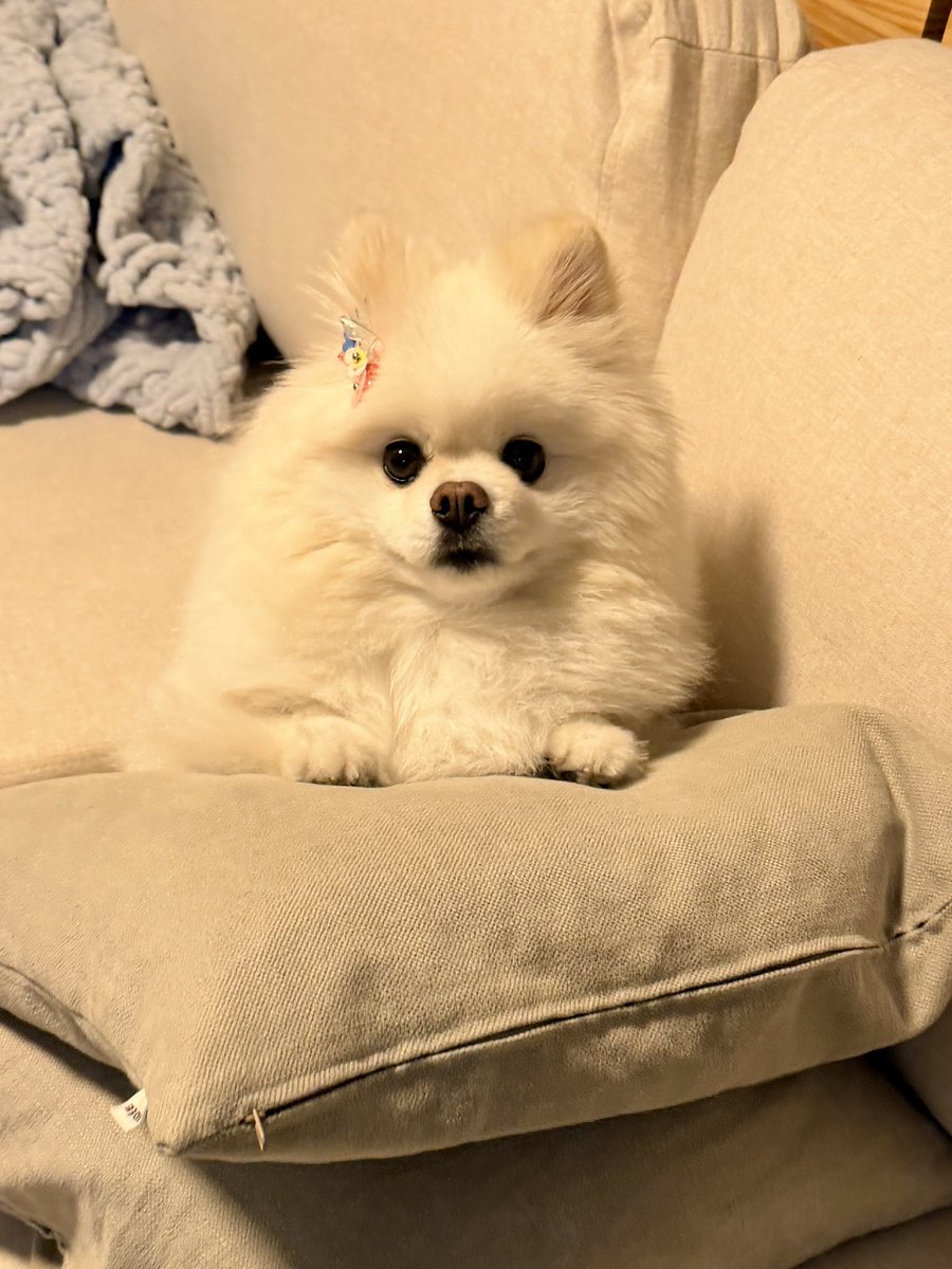 InosukeWorkout's tweet photo. シーズン2
111日目
体重4.5kgと64.7kg
立ちコロ100回 https://t.co/4C7e1yC23k