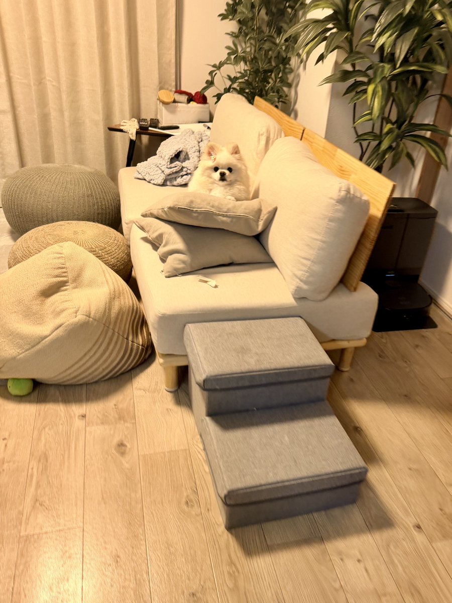 InosukeWorkout's tweet photo. シーズン2
111日目
体重4.5kgと64.7kg
立ちコロ100回 https://t.co/4C7e1yC23k
