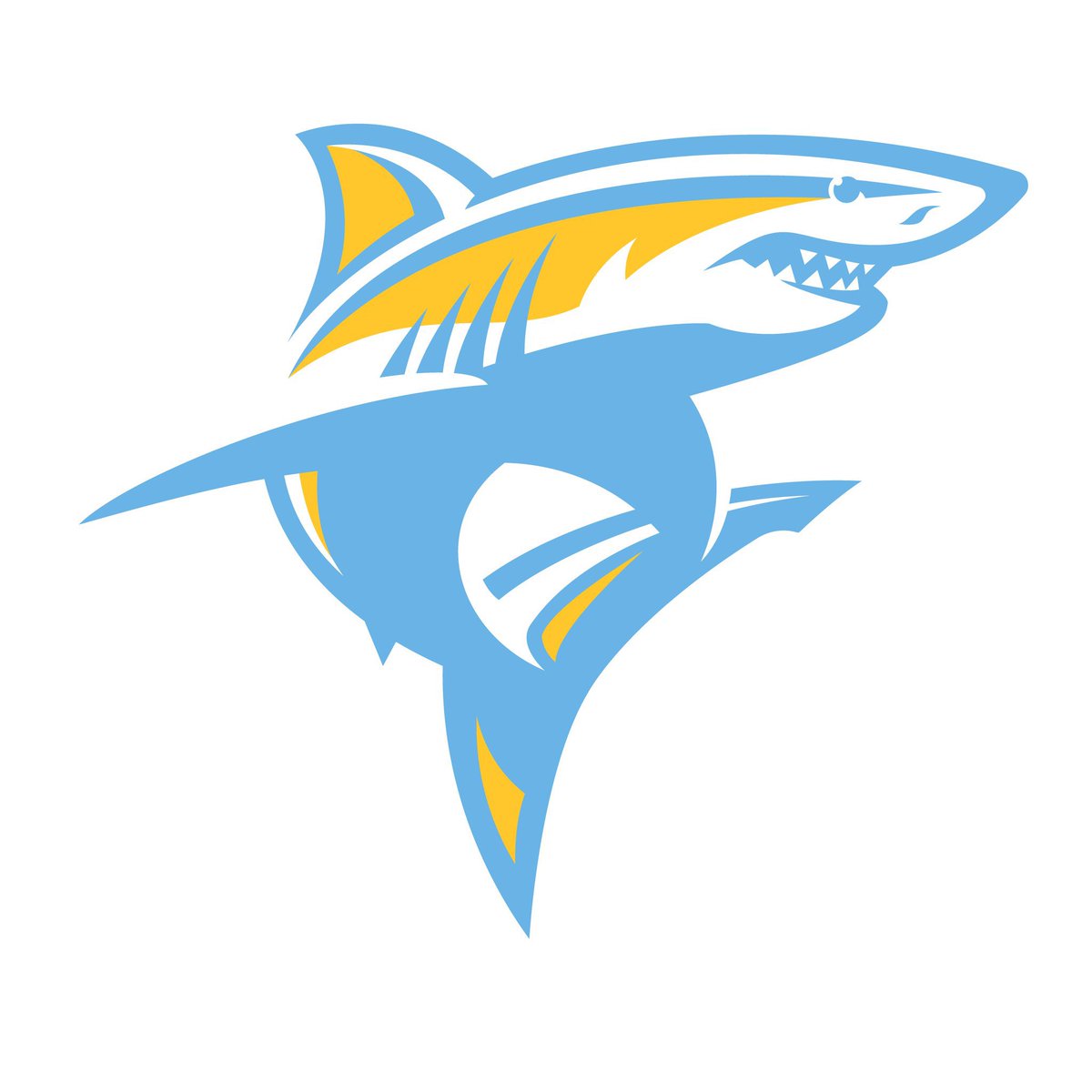 graves21_'s tweet photo. Today I will be at @LIUSharksFB . Looking forward to competing 
@CoachMIT11 @CoachRoyLIU @CoachRCooper @PRZcory @PRZVicCastillo https://t.co/A1BDuorVsS