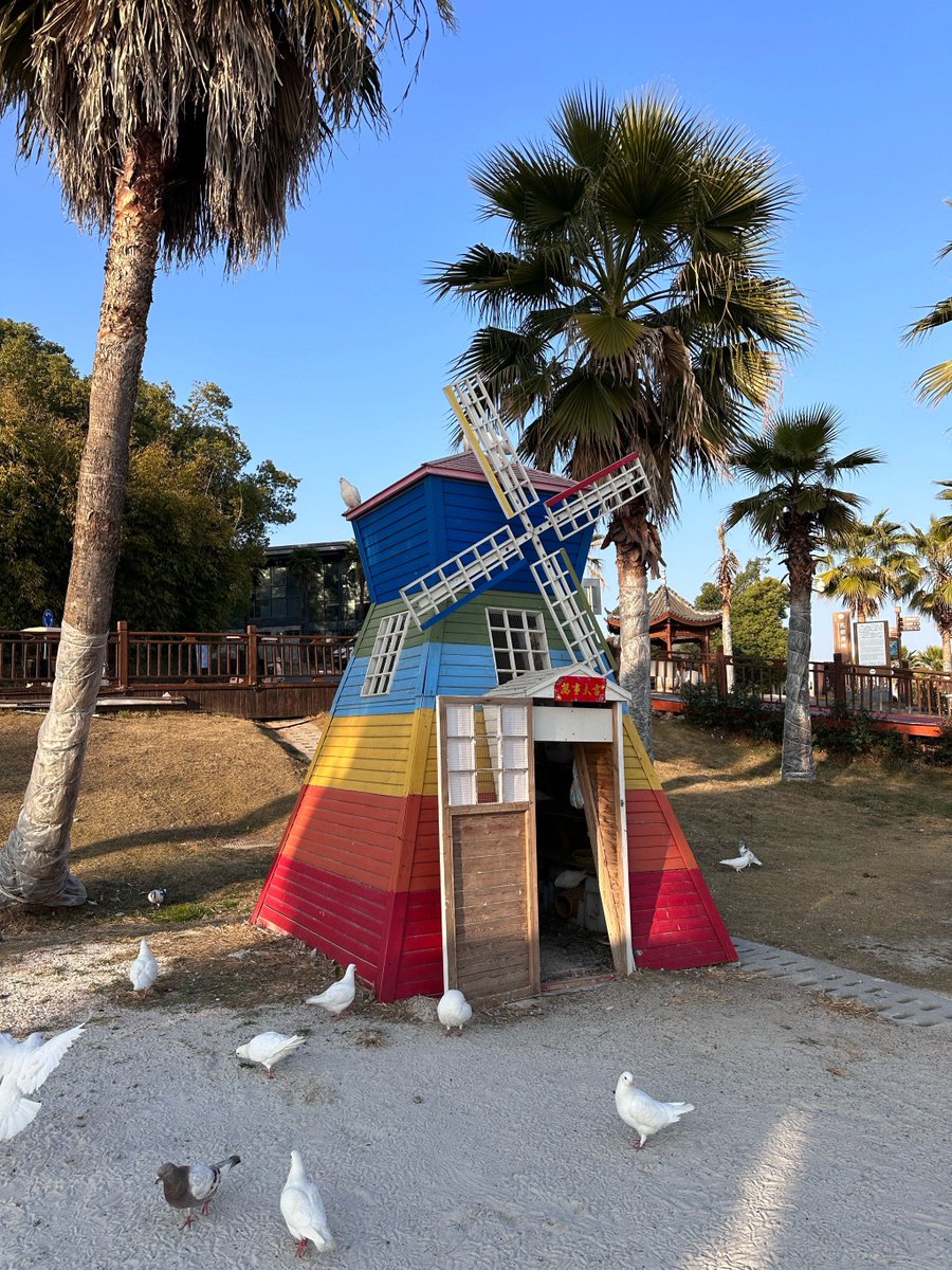 lope12121492's tweet photo. Just wrapped a quick day trip to the coastal town—sun, salty air, and way too many fresh oysters. Perfect little escape from the city grind! https://t.co/ySW9WwD927