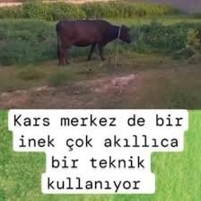 1Murq's tweet photo. @spik3yyy https://t.co/lIdMUx5Z80