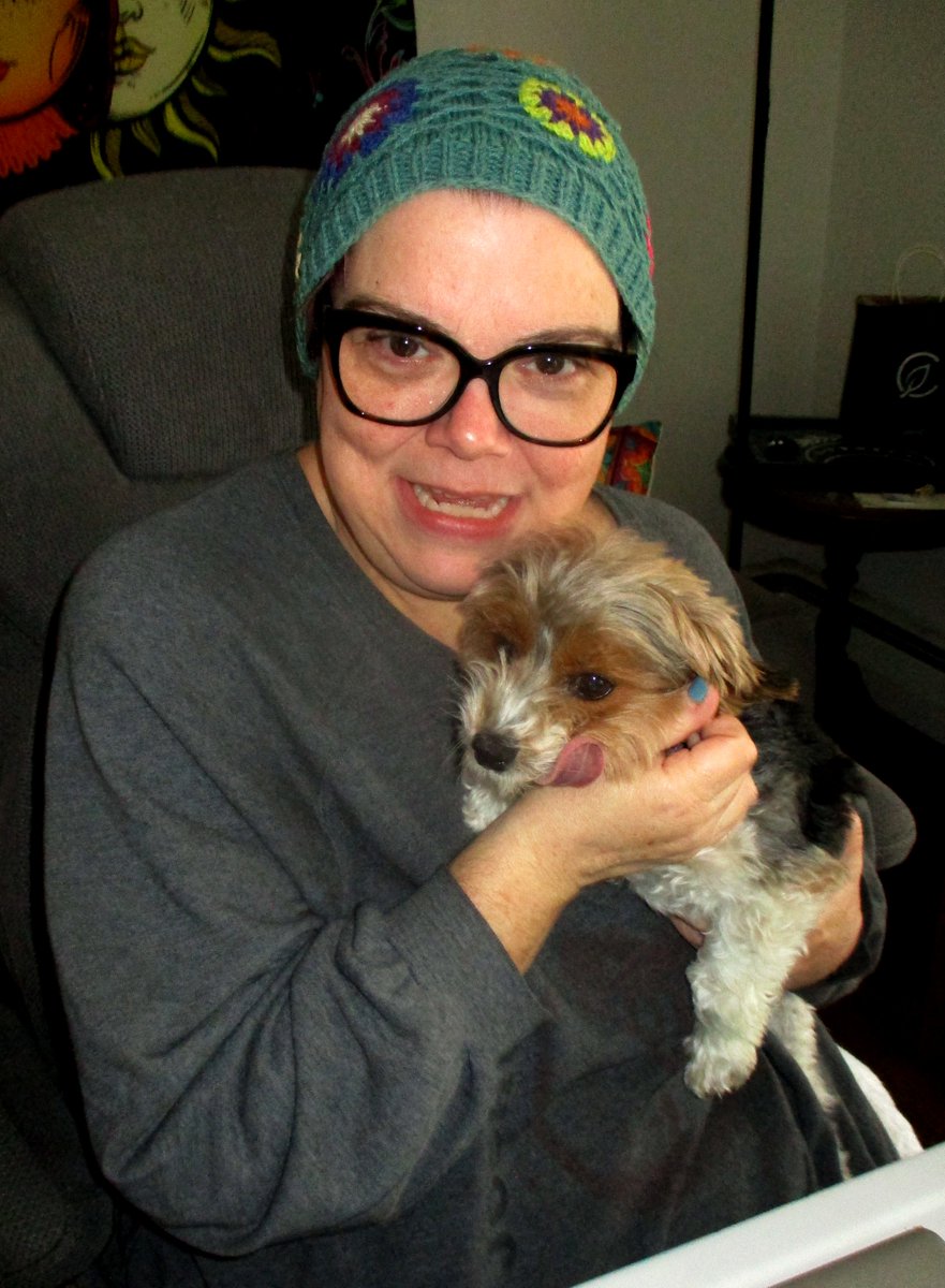 HermitsDaily's tweet photo. Two of my favorite girls. #dog #dogs #doggie #doggies #doglover #doglovers #canine #canines #yorkie #teacupyorkie #pet #pets #doglover #doglovers #family #pet #pets #friend #friends #friendship #buddy #buddies #cousin #cousins #favorite #favorites #affection #tiny #small #fur https://t.co/PyYcdRMUqY