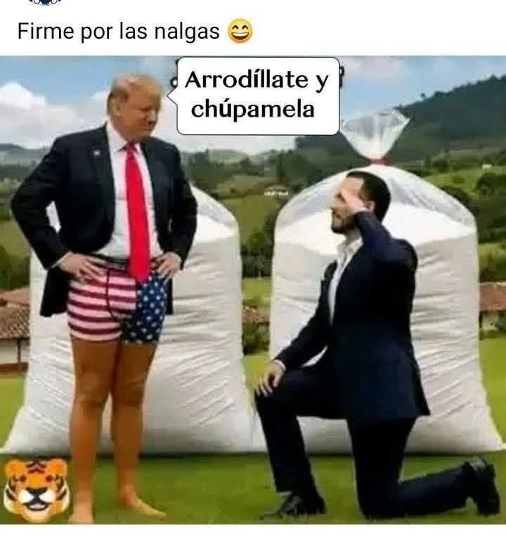 MythosZero2's tweet photo. @JOspina49625 @Tatta25 Abelardo es Bisexual, mas sin embargo lo reprime porque eso le hace perder votantes por parte de los sectores mas homofobicos y heteronormativos de la sociedad, asi como de los viejitos evangelicos, pero el tiene una pinta de kga que no puede con ella, ni vistiendo como hombre https://t.co/2fqAfK6Kkt