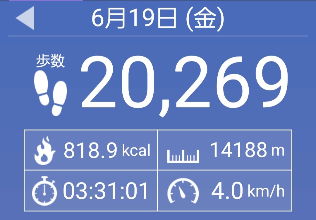 mera98728's tweet photo. ふと仕事の日何歩歩いてるんだろって気になって計ってみたら2万歩だった。歩けメラス https://t.co/UM5IT789Xa