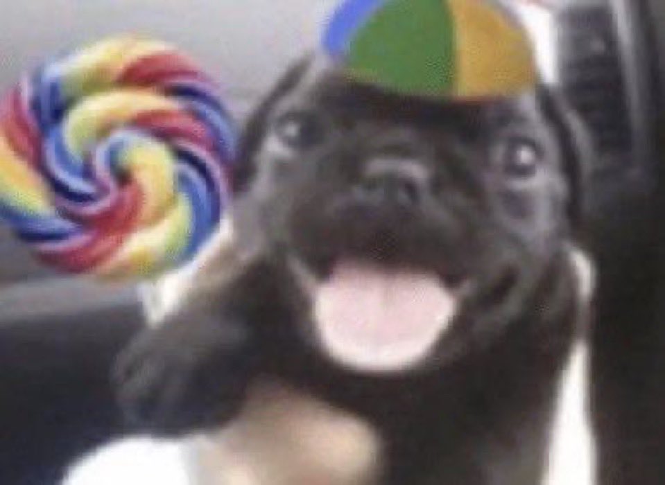 edarogg's tweet photo. j’ai trouvé des raviolis squishy comme sur roblox !!! #24ans https://t.co/HT8RubeH3j