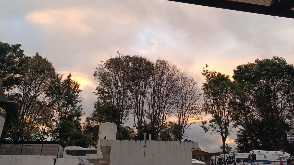 Tafur73's tweet photo. Cuando el cielo esté nublado
Saca aquel borrador
Borra toda amargura pinta el mundo de color
De la vida se aprende del dibujo el tachón
De las flores su aroma del perfume su olor
De los niños su inocencia
Del anciano su valor🎶🎼
-Alex Campos https://t.co/vuehDyrKVs