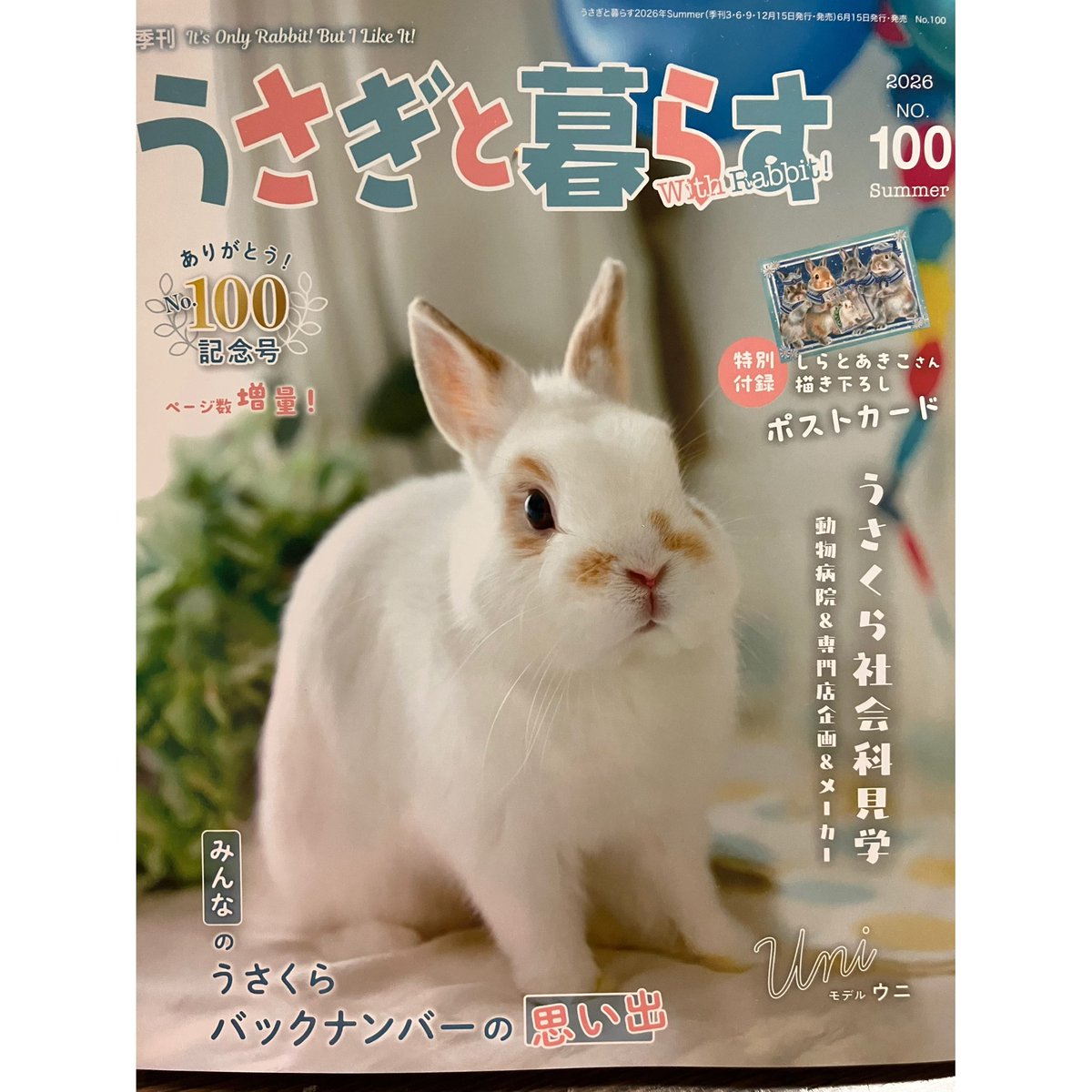 la_cire1's tweet photo. こんばんは〜
うさぎと暮らす
No.100 おめでとうございます🎉
素晴らしいですね♪

読者プレゼントに2点　提供させていただきました！

是非是非ご応募お待ちしております❣️

うさぎと暮らす編集部　
#もこもこちゃん https://t.co/nV2DNHLaaQ