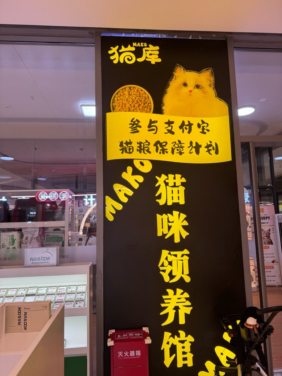 ProdMaka's tweet photo. Hey @Lily! Just spotted that new cat café on 5th St—wanna swing by this weekend for a latte and some fur babies https://t.co/F2sOCERSWp