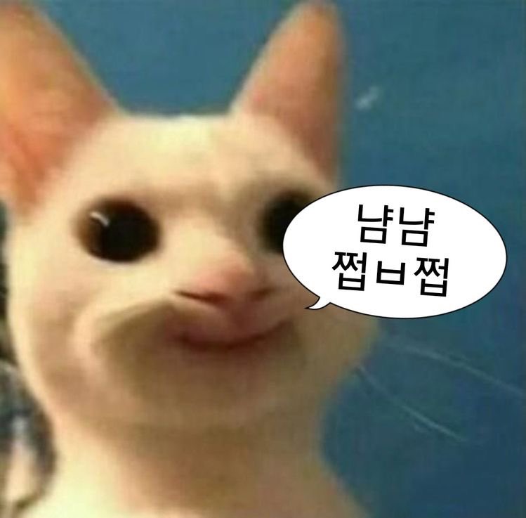 상천 tweet media