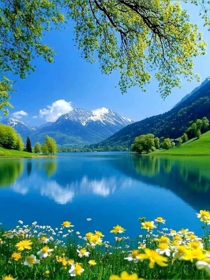 Earthpic613496's tweet photo. https://t.co/TXXZUqquwb