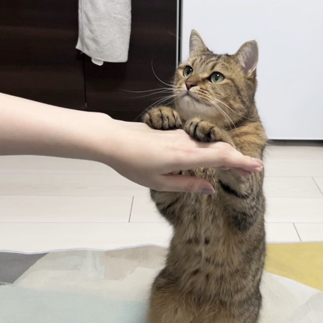 MiniraDiary's tweet photo. 完全に一致w https://t.co/fdMkG67pWG
