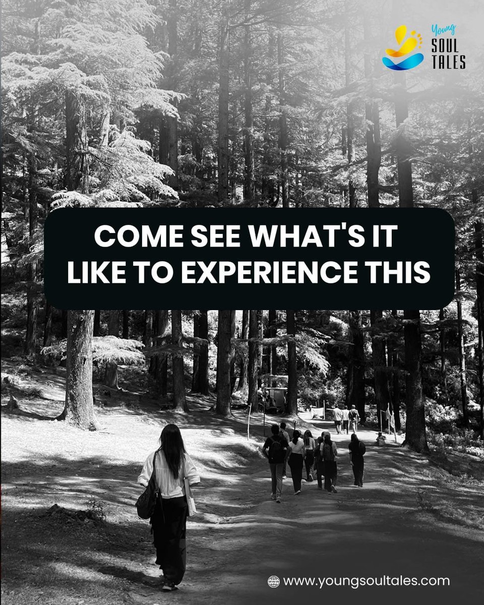youngsoultales's tweet photo. This is how you spend your days with Young Soultales🌄
#natureretreat #reconnecting #nature #introspection #youngsoultales https://t.co/mubrhwYMqS