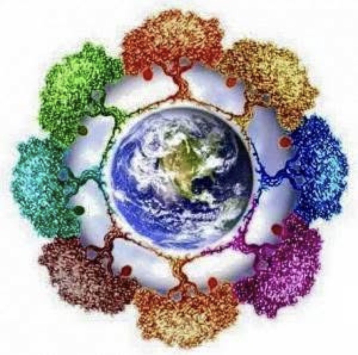 cliokarili's tweet photo. “Los amigos de verdad echan raíces y se quedan en más de cuatro estaciones; los que son flor de un día equivalen a las hojas de Otoño que caducan y se van” .

K.A

(2015) https://t.co/vPbsX8II4S