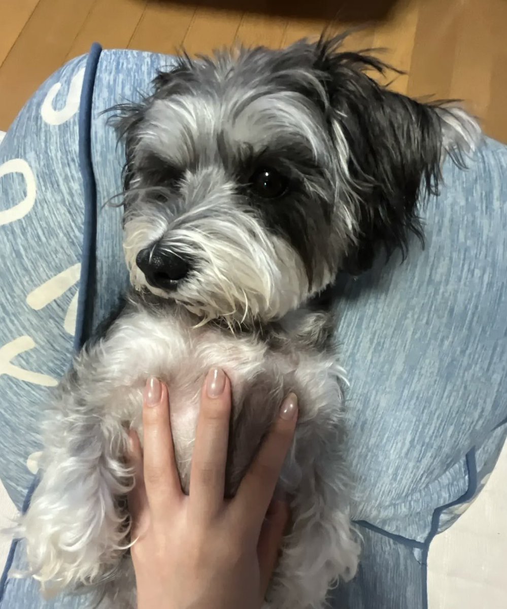 maru0___0maru's tweet photo. 君のおかげで今週もがんばれたよ。 https://t.co/rmEGyf3Iuk
