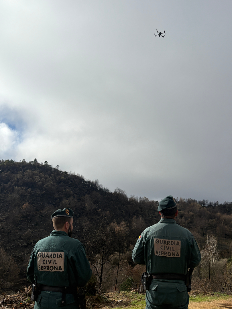 interiorgob's tweet photo. 🌲🔥 Un pequeño descuido puede provocar un gran incendio.

Recuerda este verano:

🚬 No arrojes colillas ni basura
🔥 No hagas fuego en el monte
🏕️ Acampa solo en lugares autorizados https://t.co/cwNdqERADE